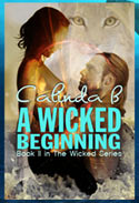 A Wicked Awakening, Book I in the Wicked Series